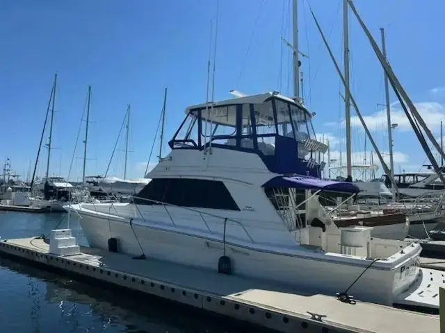 Riviera 43