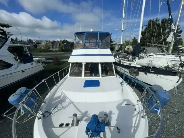 Ponderosa 42ft Sundeck