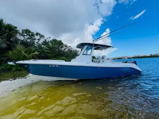 Everglades 295 Cc