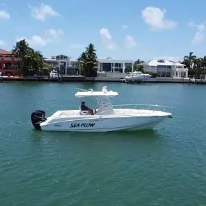 2008 Boston Whaler 320 Outrage