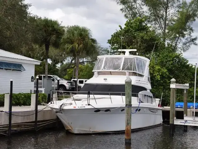 Sea Ray 480 Sedan Bridge