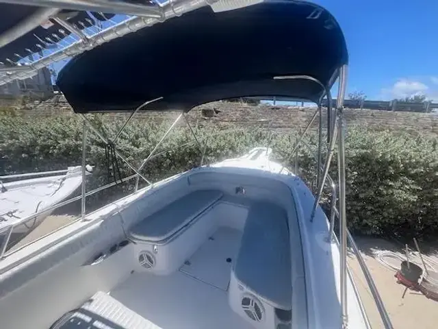 Boston Whaler 260 Outrage