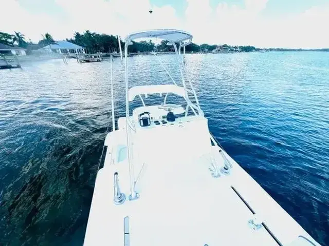 SeaVee 390Z