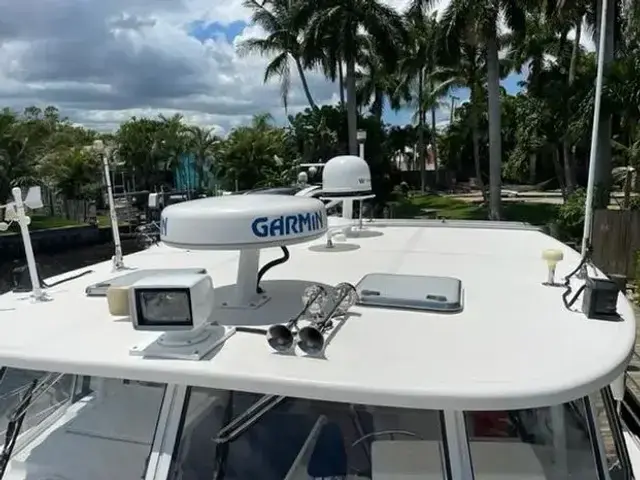 Endeavour Trawler Cat 38