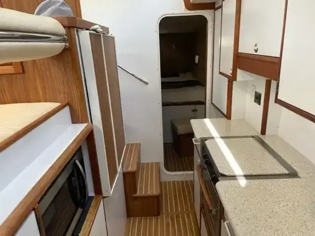 Endeavour Trawler Cat 38