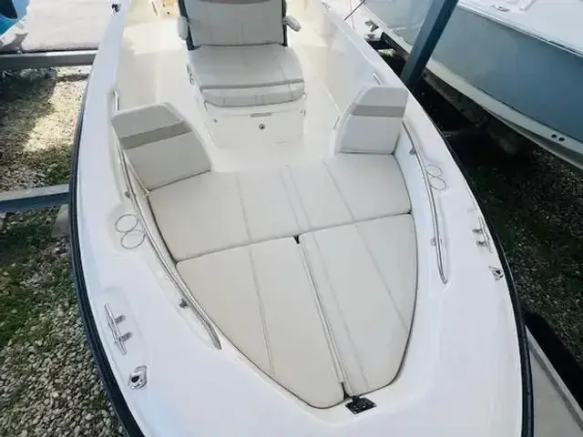 Boston Whaler 250 Dauntless