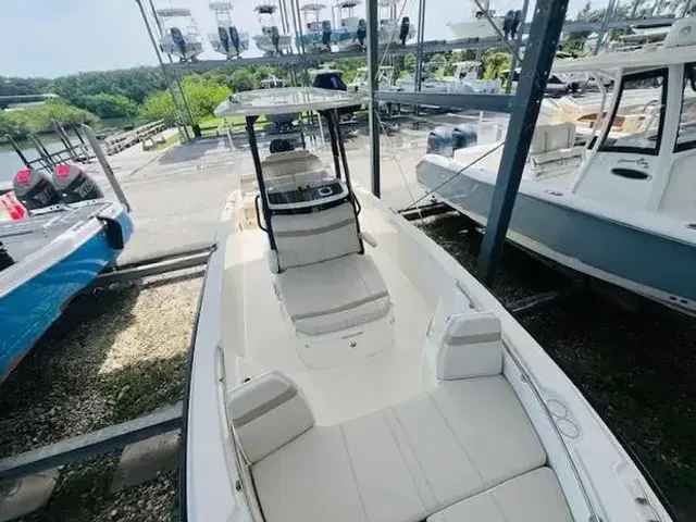 Boston Whaler 250 Dauntless