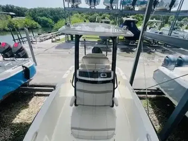 Boston Whaler 250 Dauntless