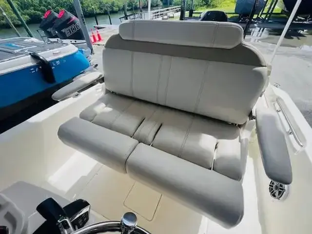 Boston Whaler 250 Dauntless