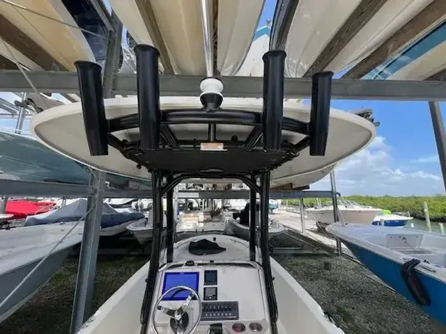 Boston Whaler 250 Dauntless