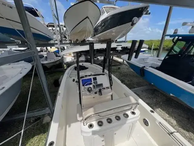 Boston Whaler 250 Dauntless