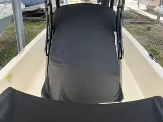 Boston Whaler 250 Dauntless