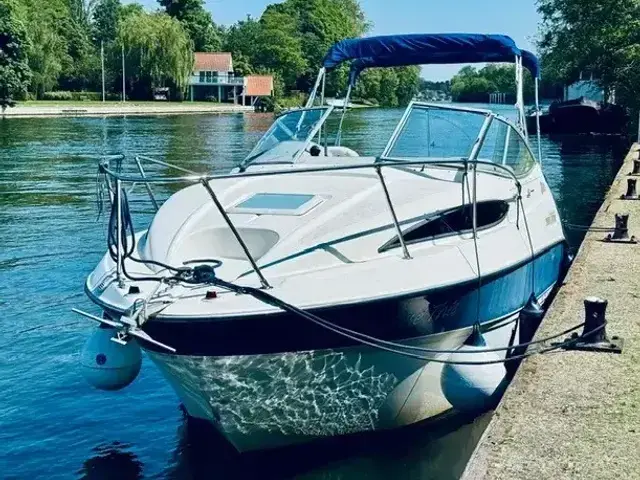 Bayliner 245