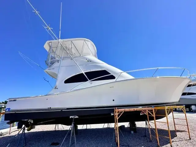 Luhrs 41 Convertible