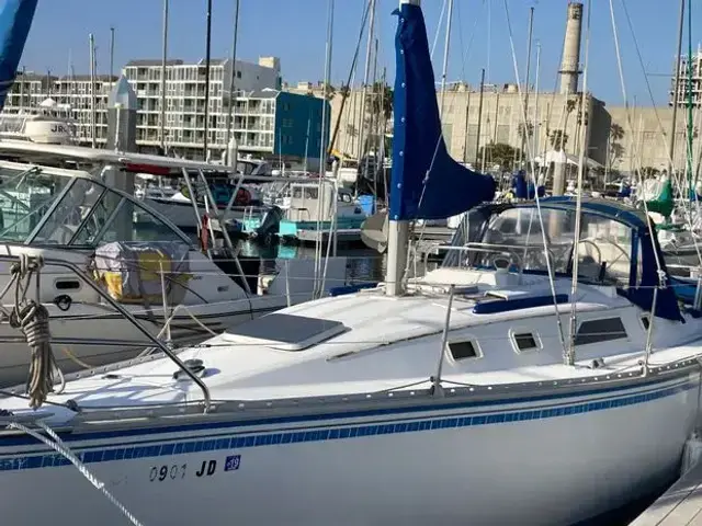 Hunter 31