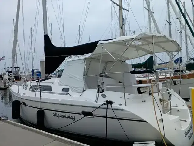 Catalina 350