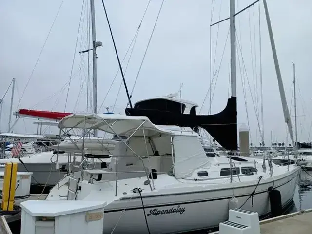 Catalina 350