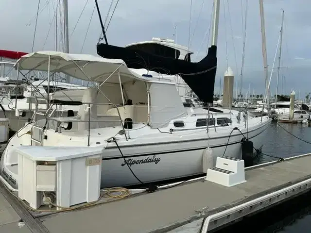 Catalina 350