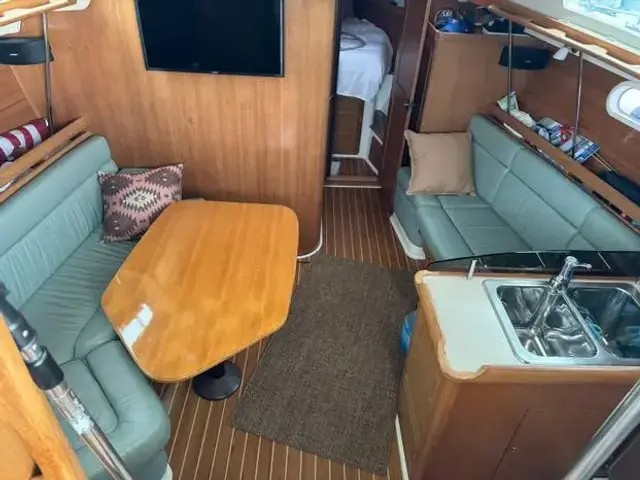 Catalina 350