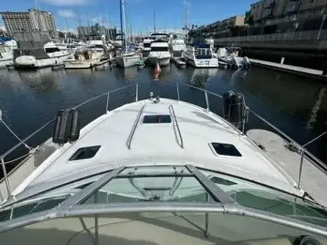 Sea Ray 310 Sundancer