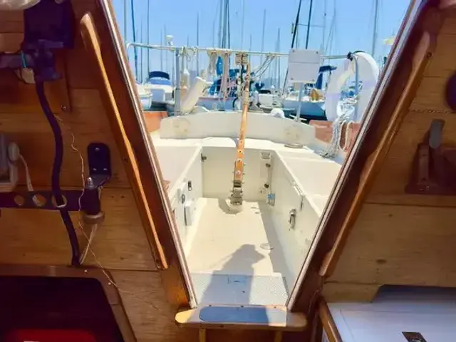 Ranger 33