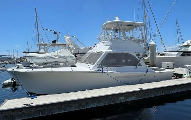 1987 Jersey 36 convertible sportfisherman