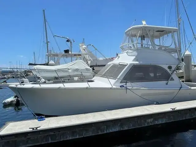 Jersey 36 Convertible Sportfisherman