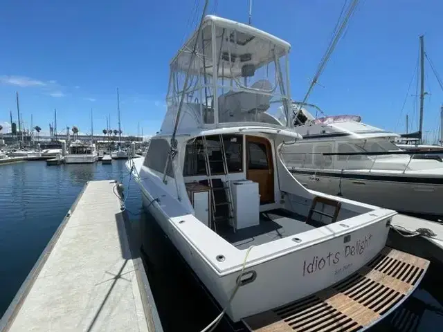 Jersey 36 Convertible Sportfisherman