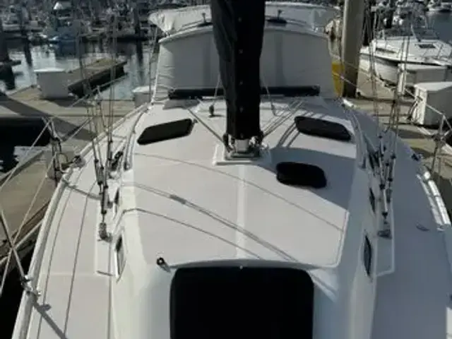 Catalina 350