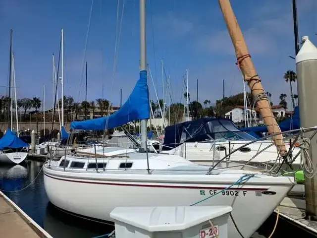 Catalina Sloop