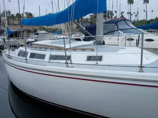 Catalina Sloop