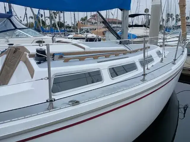 Catalina Sloop