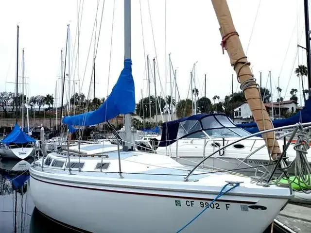 Catalina Sloop