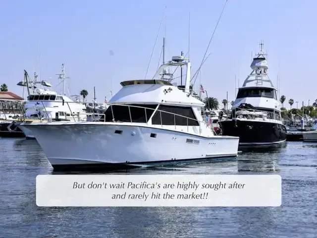 Pacifica 41 Sportfisher