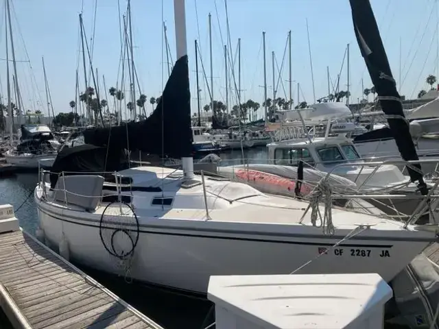 Catalina 30