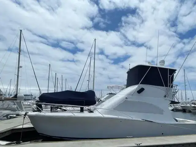 Luhrs Convertible