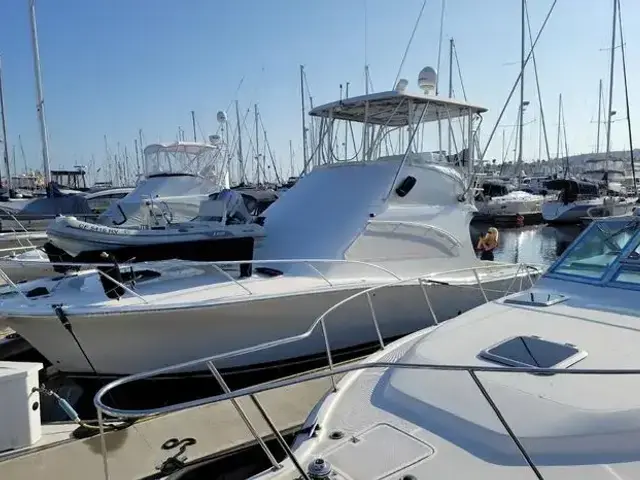 Luhrs 34 Convertible