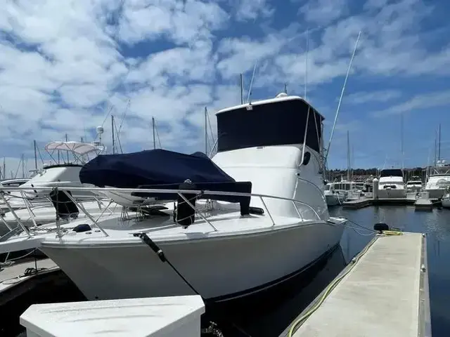 Luhrs 34 Convertible