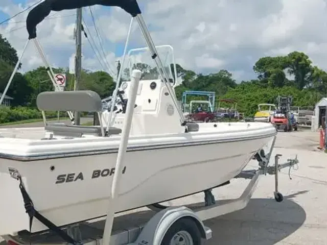 Sea Born 19 Sv