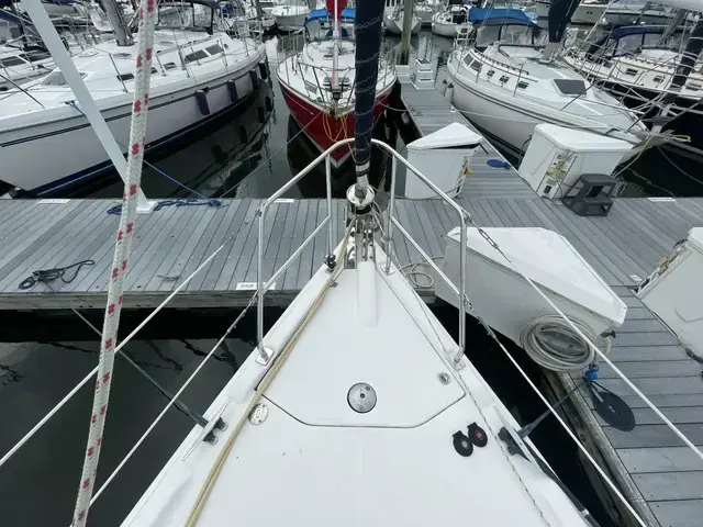 Hunter 36