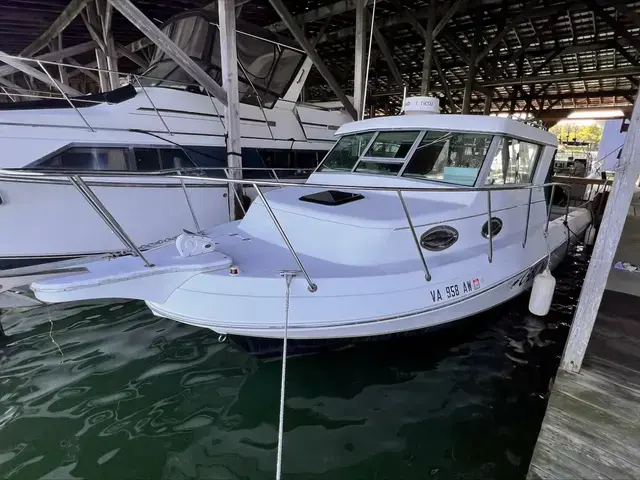 Sportcraft 29