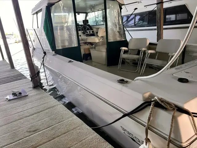 Sportcraft 29