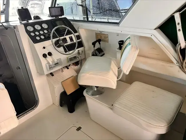 Sportcraft 29