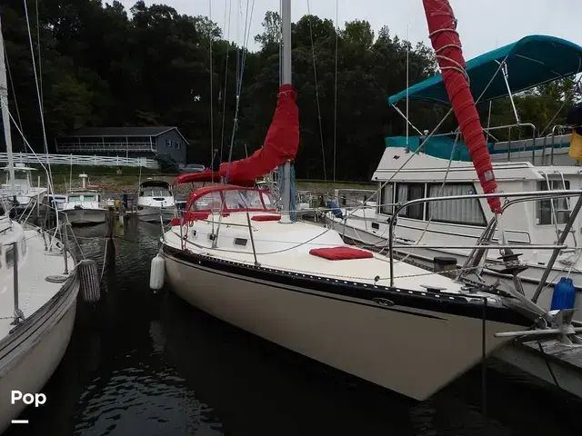 Tartan 33