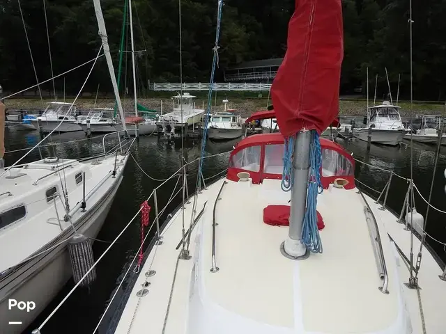 Tartan 33