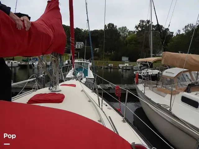 Tartan 33