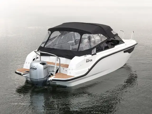 Silver Boats Raptor DCz