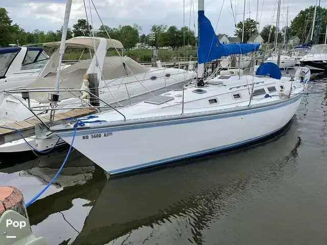 Hunter 34