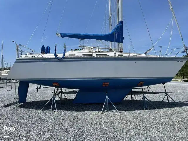 Hunter 34