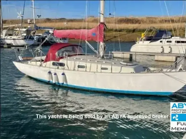 Contessa 26